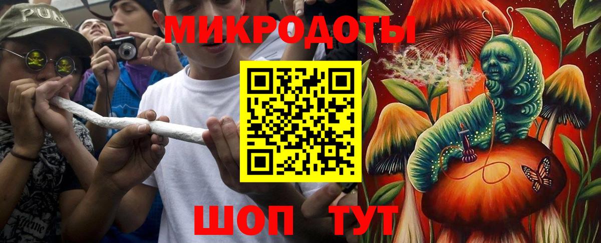 Псилоцибиновые грибы мицелий Вышний Волочёк