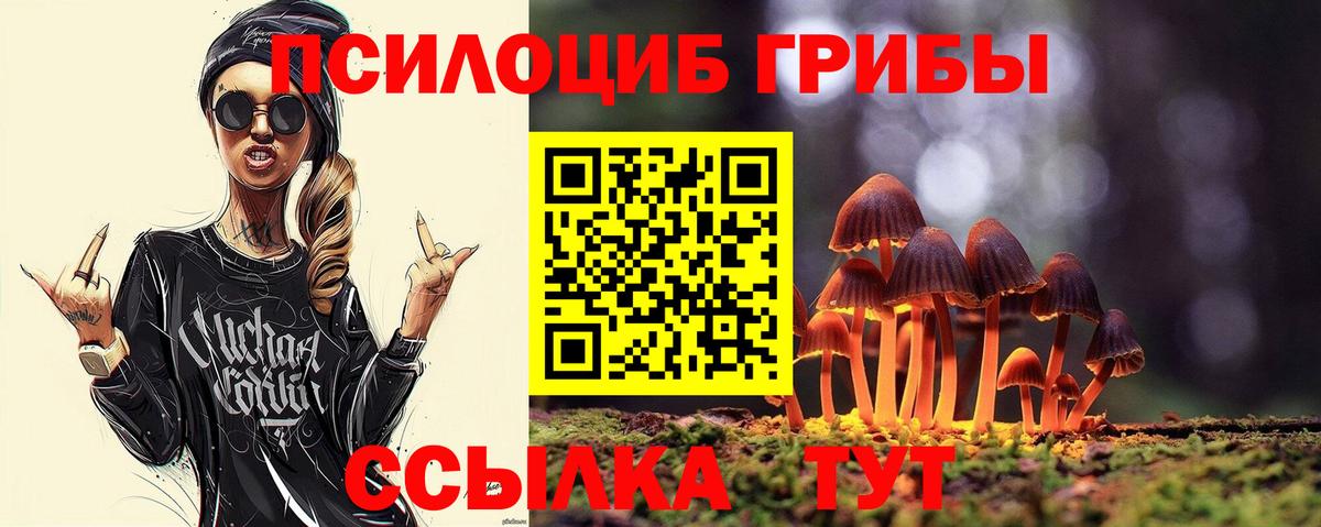 Галлюциногенные грибы Psilocybe  Вход с VPN  Вышний Волочёк 